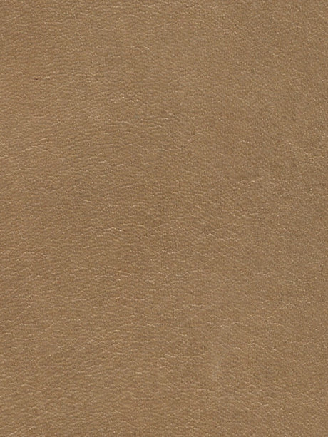 Imagen de LP-NATURAL