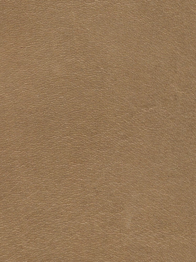 Imagen de LP-NATURAL