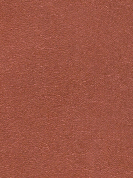 Imagen de LP-TERRACOTA