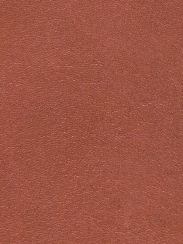 Imagen de LP-TERRACOTA