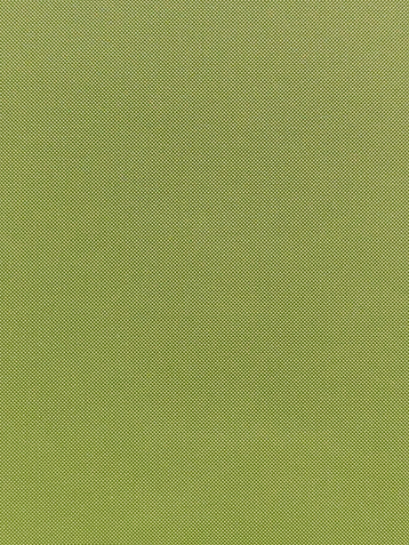 Imagen de MAX-KIWI