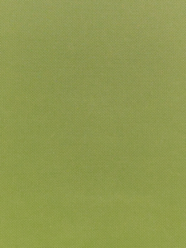 Imagen de MAX-KIWI