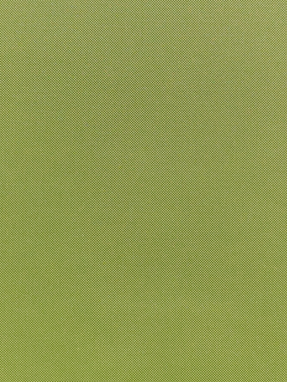 Imagen de MAX-KIWI