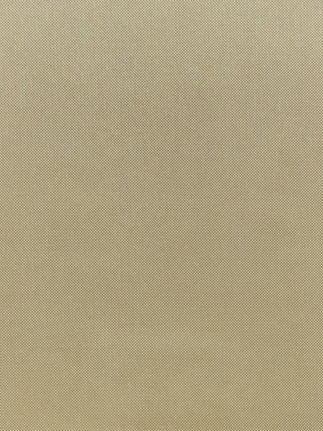 Imagen de MAX-SALVIA