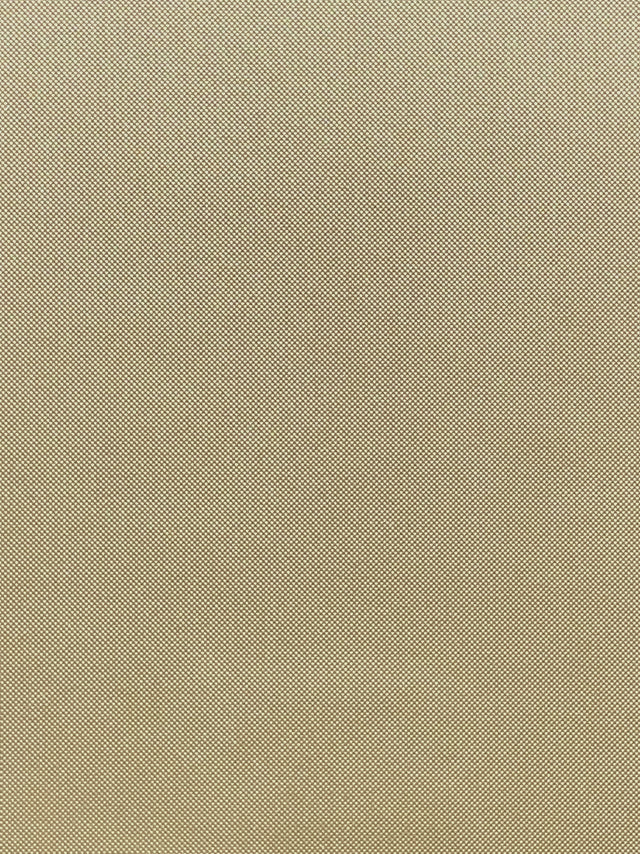 Imagen de MAX-SALVIA