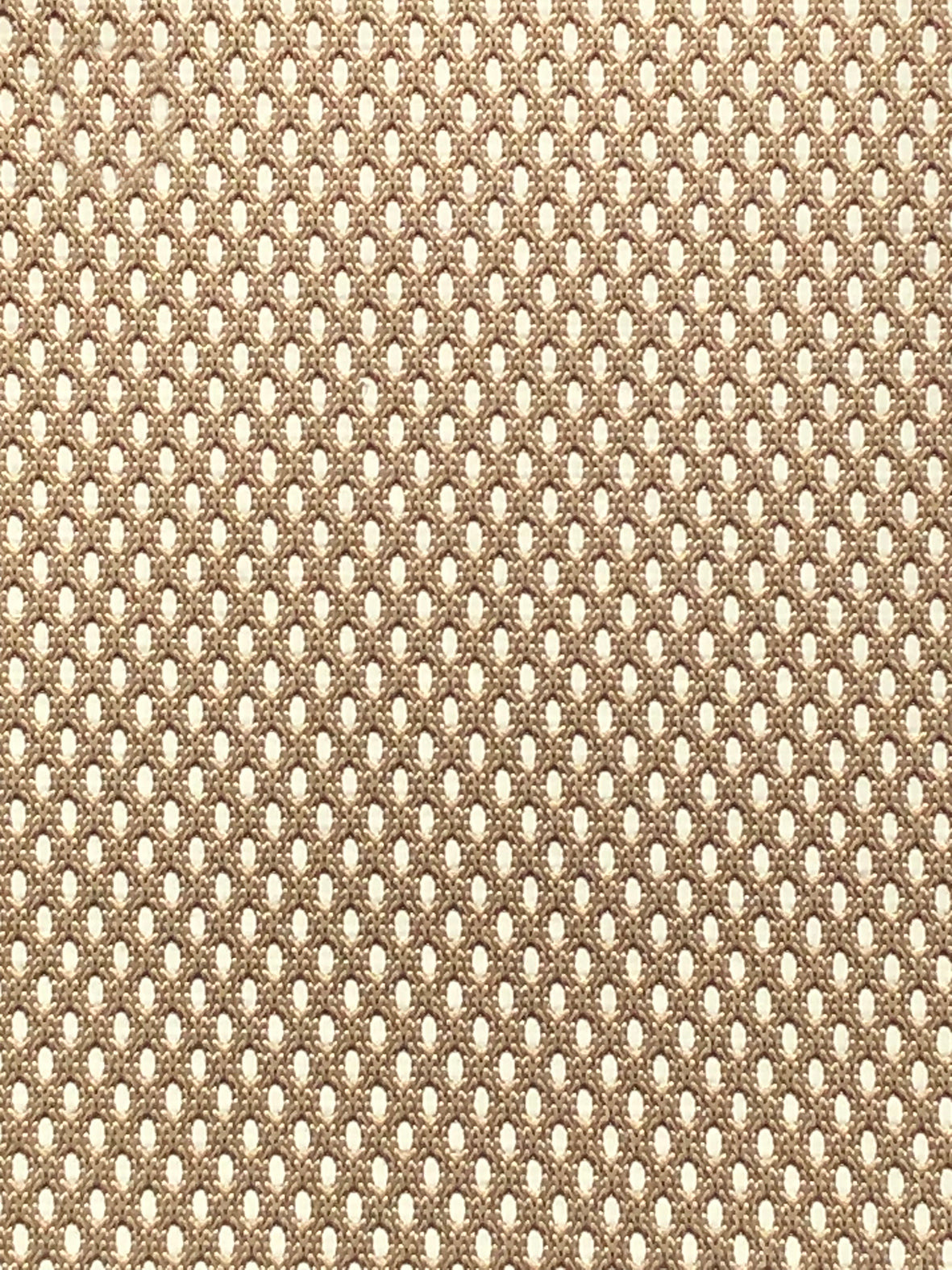 Imagen de NEO-FALCON