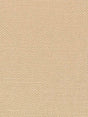 Imagen de NR-7167