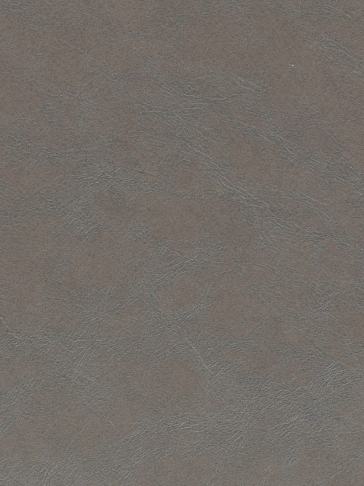 Imagen de OXF-CEDAR