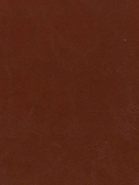 Imagen de OXF-ESPRESSO