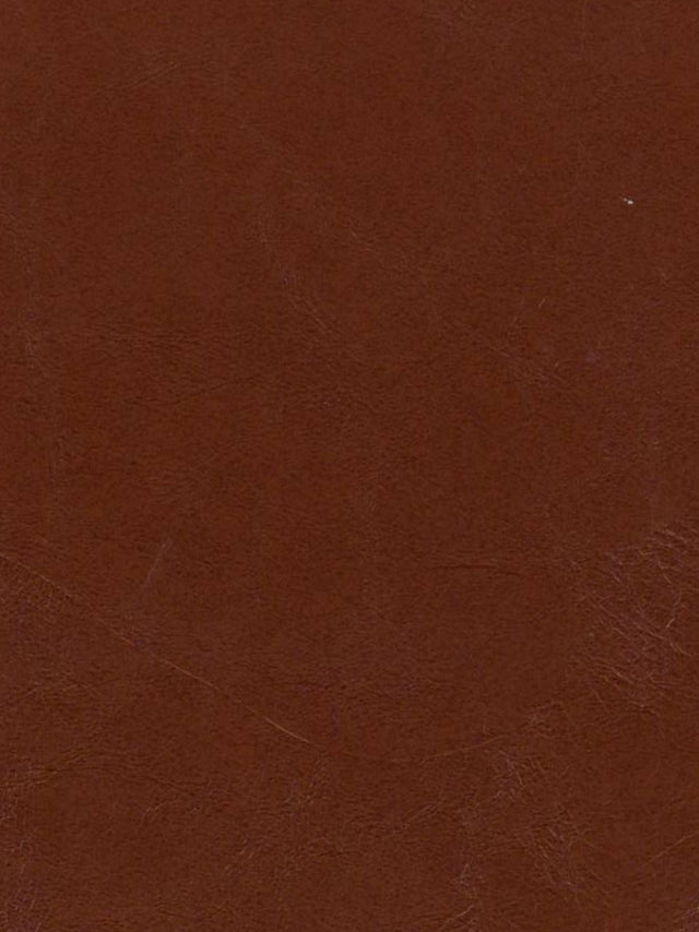 Imagen de OXF-ESPRESSO