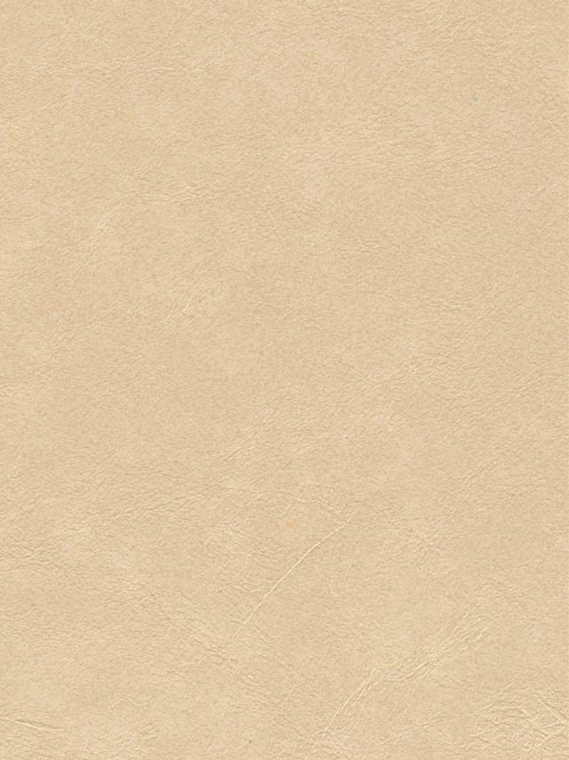 Imagen de OXF-LINEN