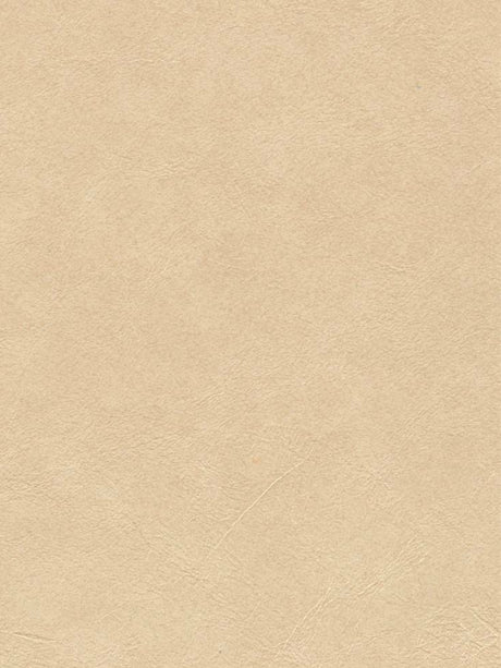 Imagen de OXF-LINEN