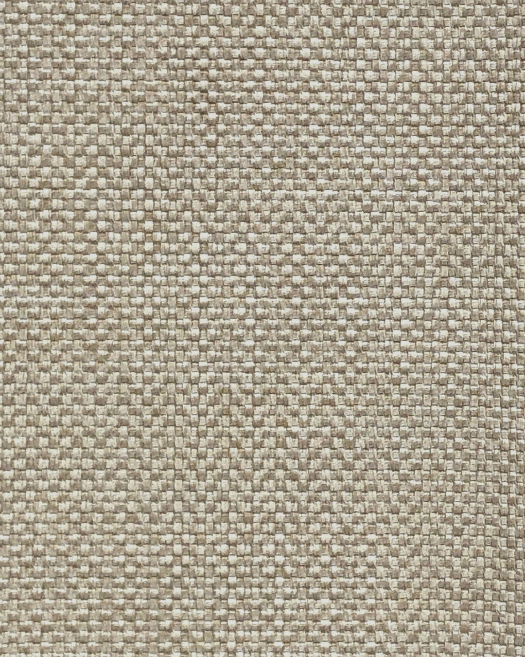 PANAM BONE