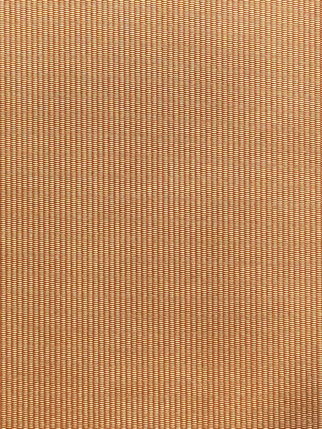 Imagen de RAY-BRONCE