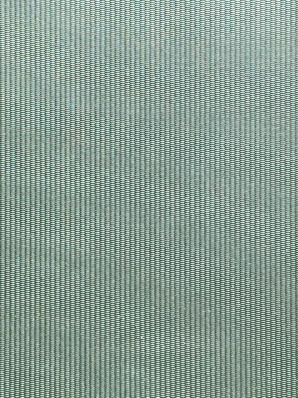 Imagen de RAY-OLTRAMARE