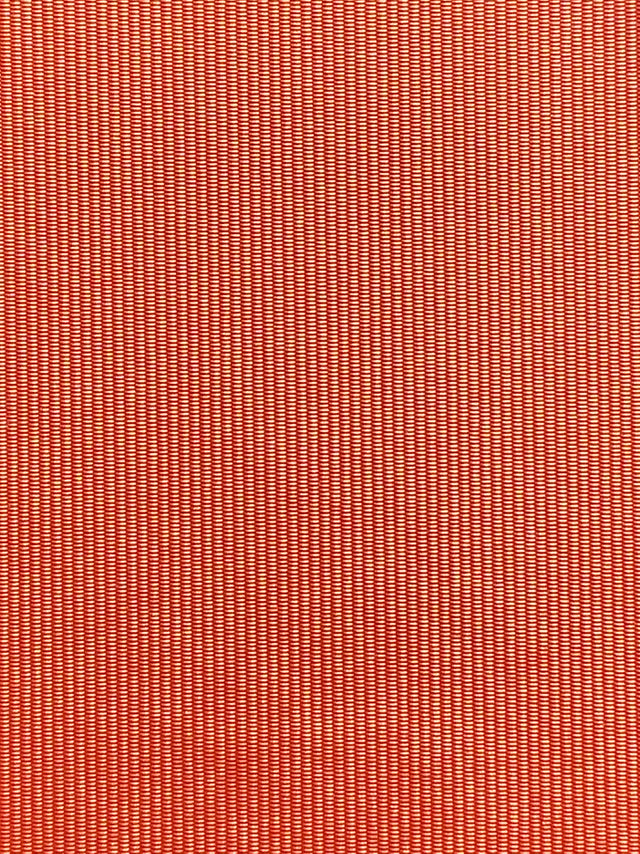 Imagen de RAY-ORANGE