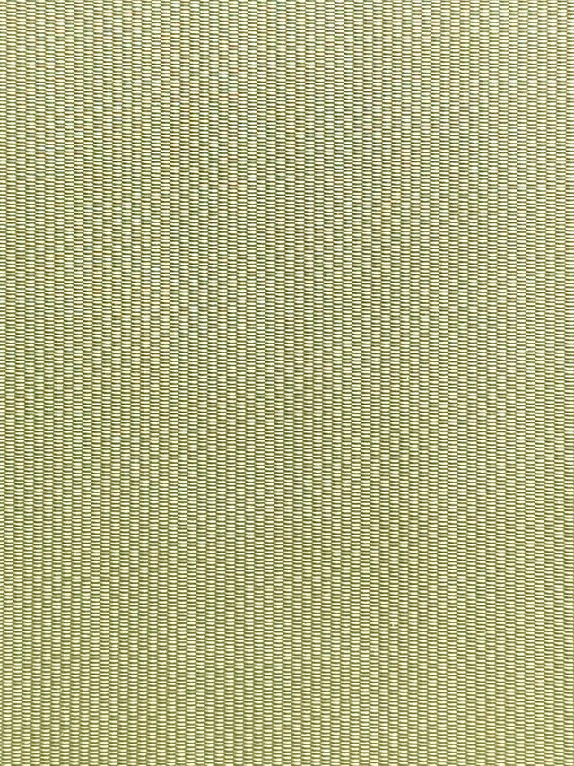 Imagen de RAY-SALVIA