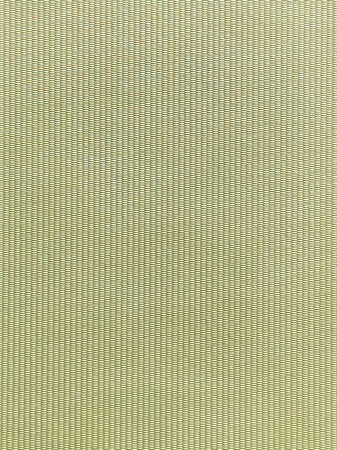 Imagen de RAY-SALVIA