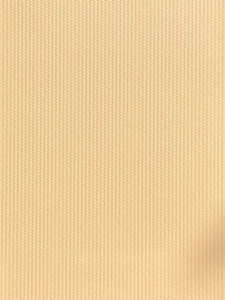 Imagen de RAY-VANILLE