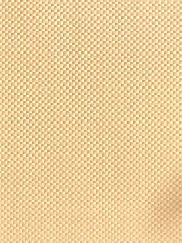 Imagen de RAY-VANILLE