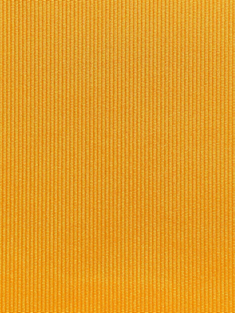 Imagen de RAY-YELLOW