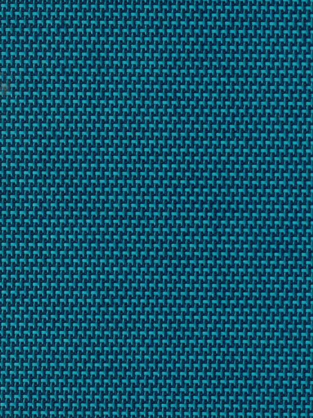 Imagen de REEF-BLUE
