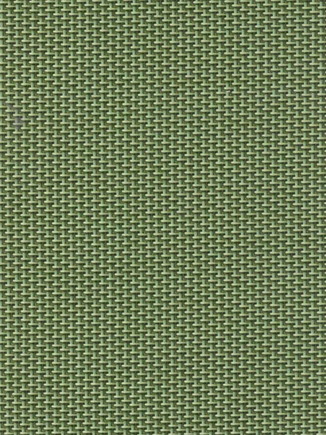 Imagen de REEF-GREEN