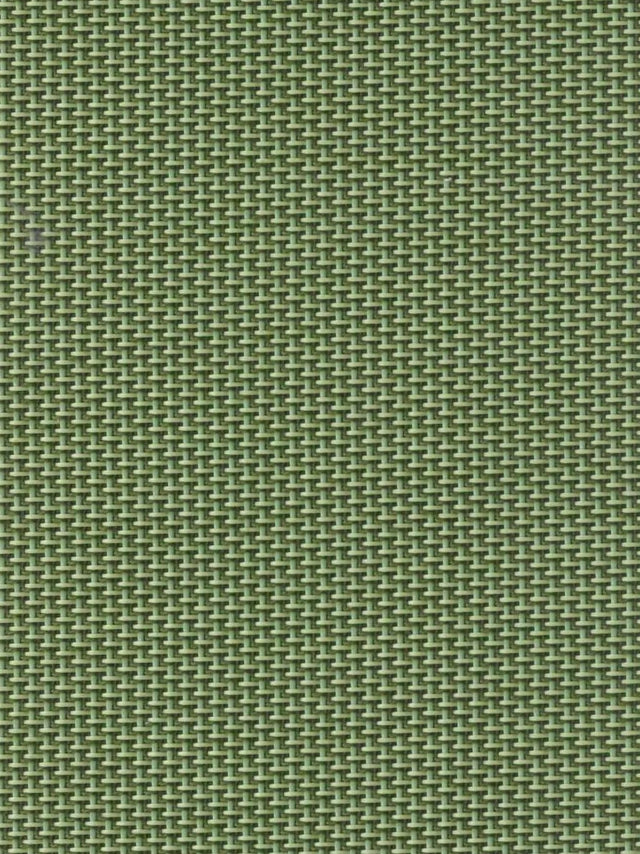 Imagen de REEF-GREEN