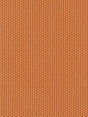 Imagen de REEF-ORANGE