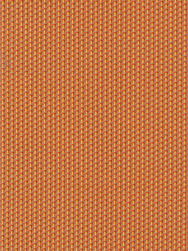 Imagen de REEF-ORANGE