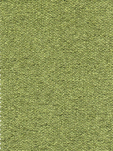 Imagen de RU-GREENERY