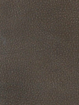 Imagen de TOU-223