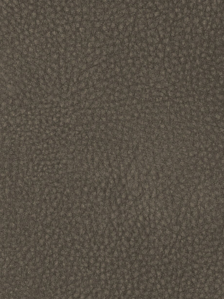 Imagen de TOU-281