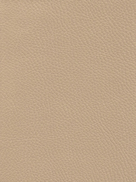 Imagen de TRX-AIRF-205