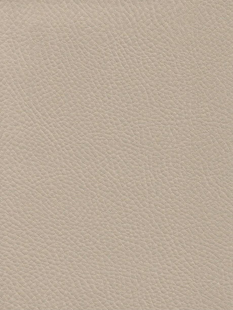 Imagen de TRX-AIRF-207