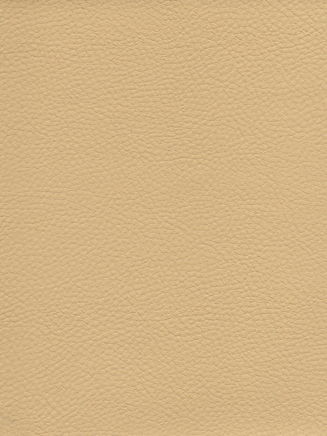 Imagen de TRX-AIRF-208