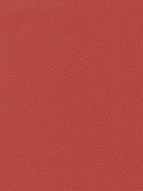 Imagen de TRX-AIRF-216