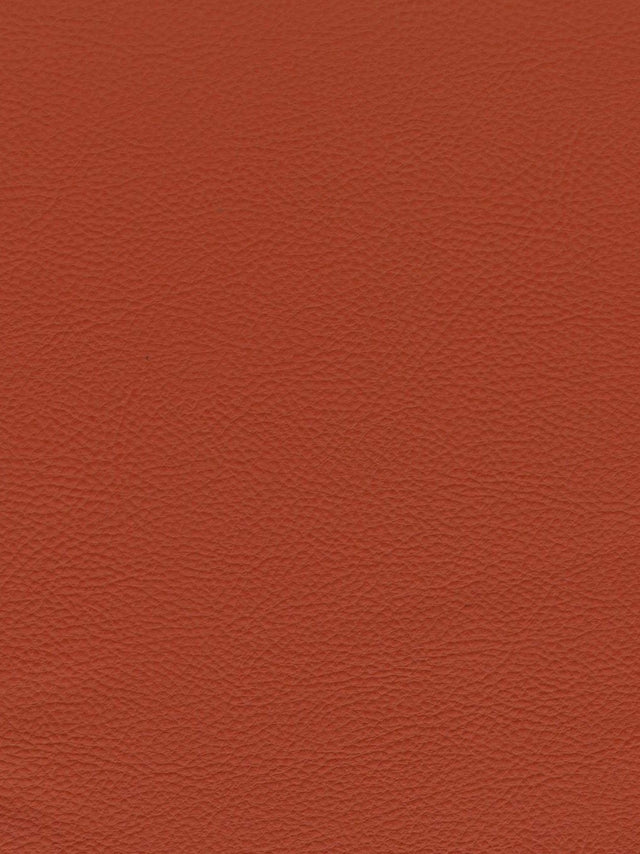 Imagen de TRX-AIRF-217