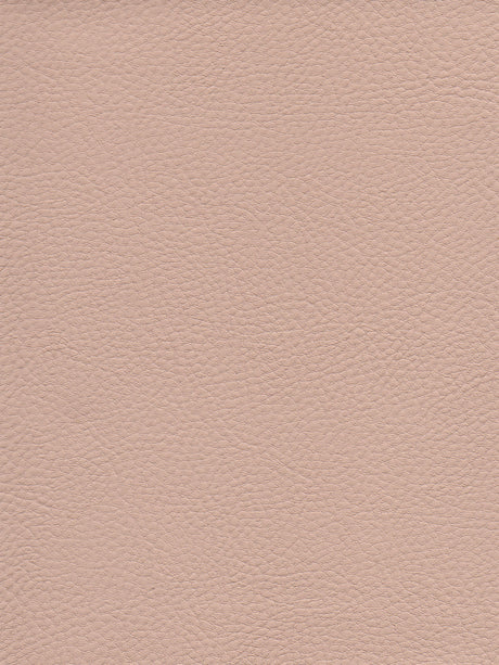 Imagen de TRX-AIRF-227