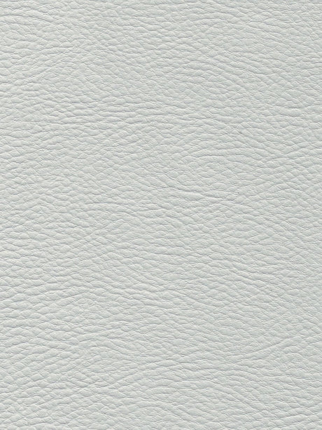 Imagen de TRX-AIRF-274