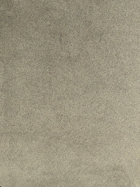 Imagen de VELS-ARMY-GRAN