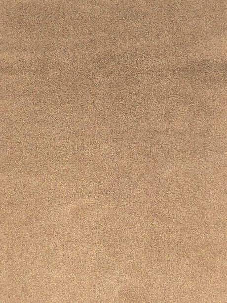 Imagen de VELS-LION-GRAN