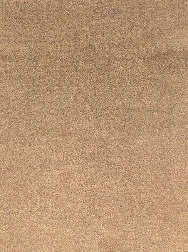 Imagen de VELS-LION-GRAN