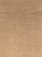 Imagen de VELS-LION
