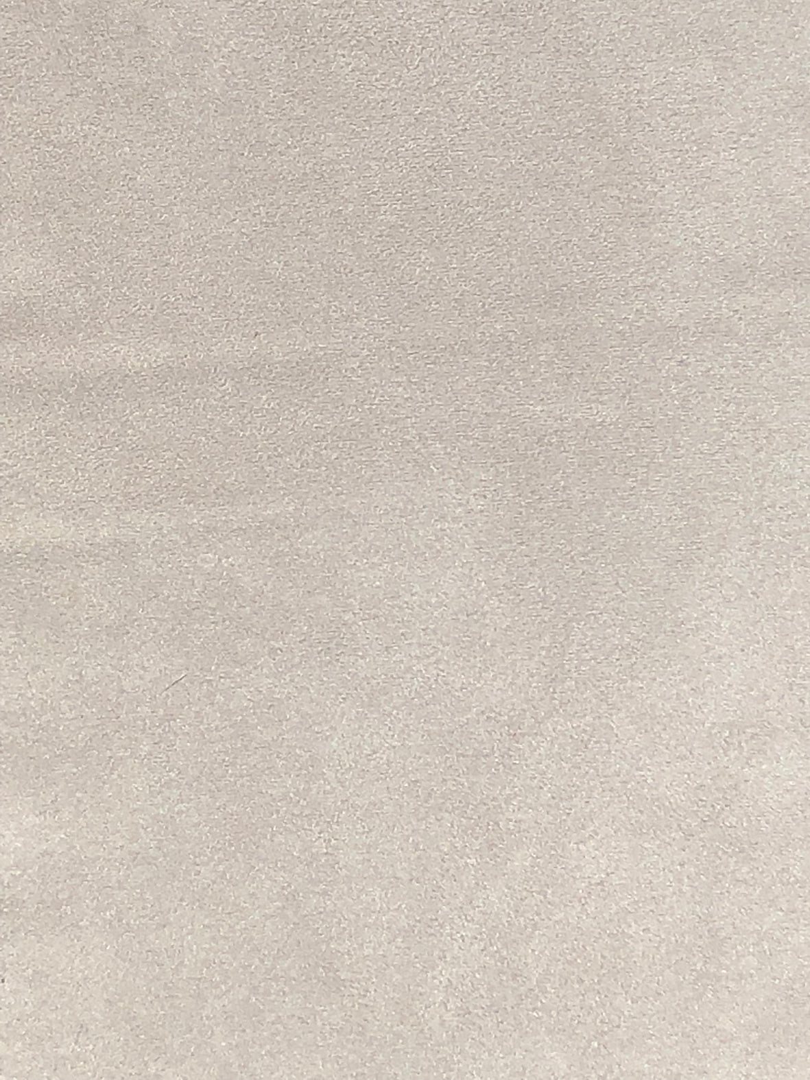 Imagen de VELS-MAGNOLIA