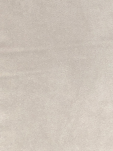 Imagen de VELS-MAGNOLIA