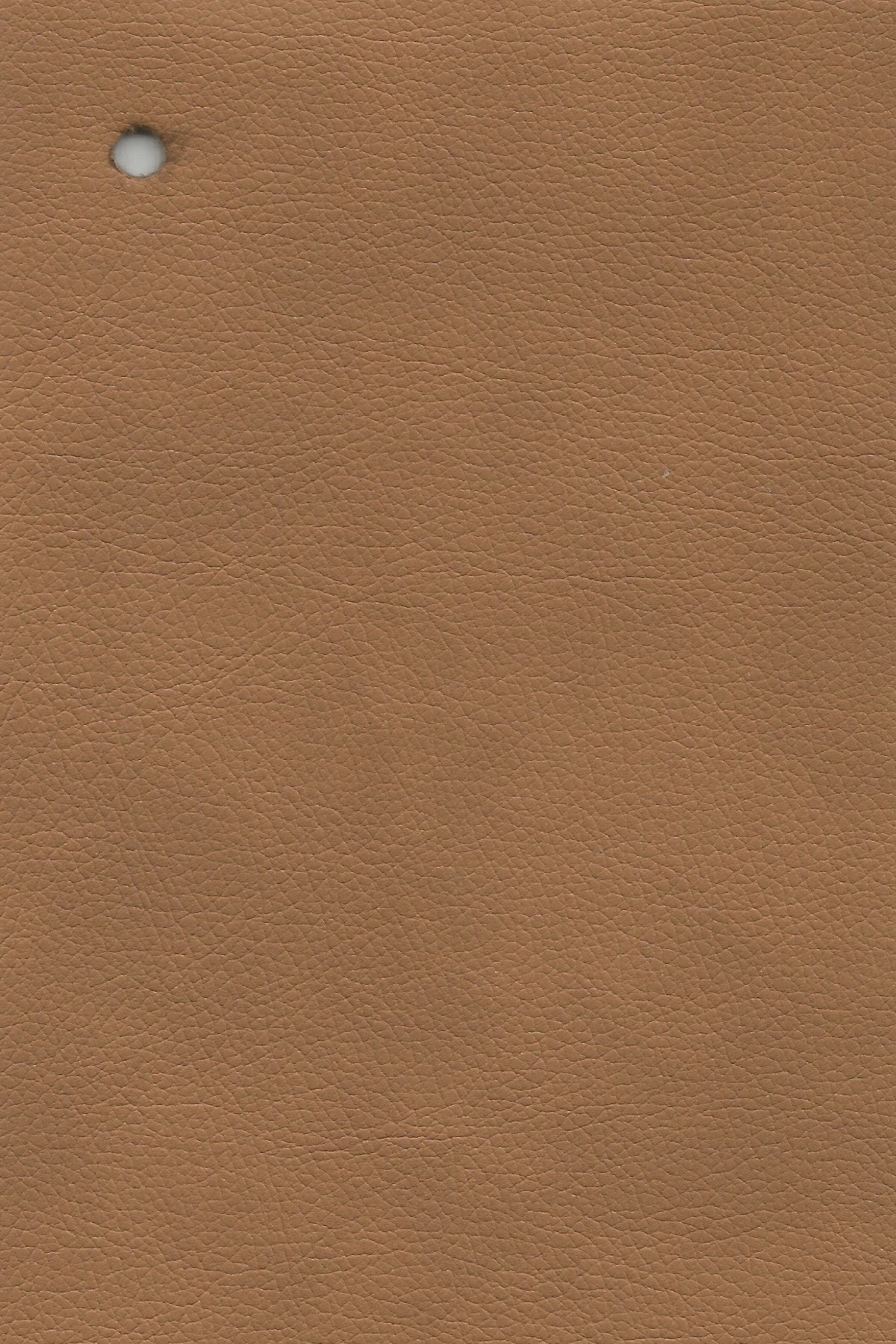 Imagen de VIL-ALMOND