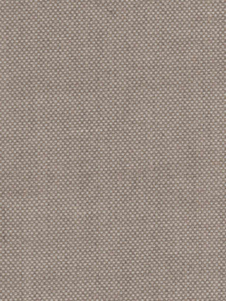 Imagen de VIV-MIRAGE