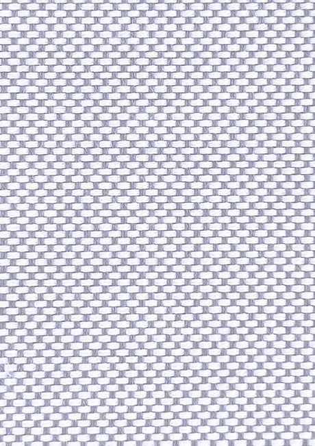 Imagen de VIV-SILVER