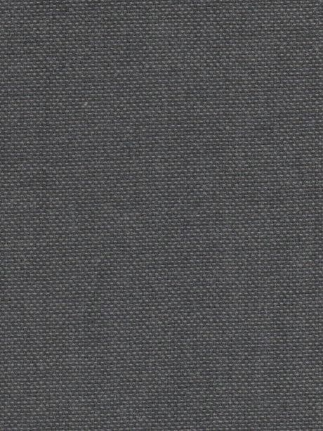 Imagen de VIV-SQUIRREL